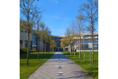 Image Image